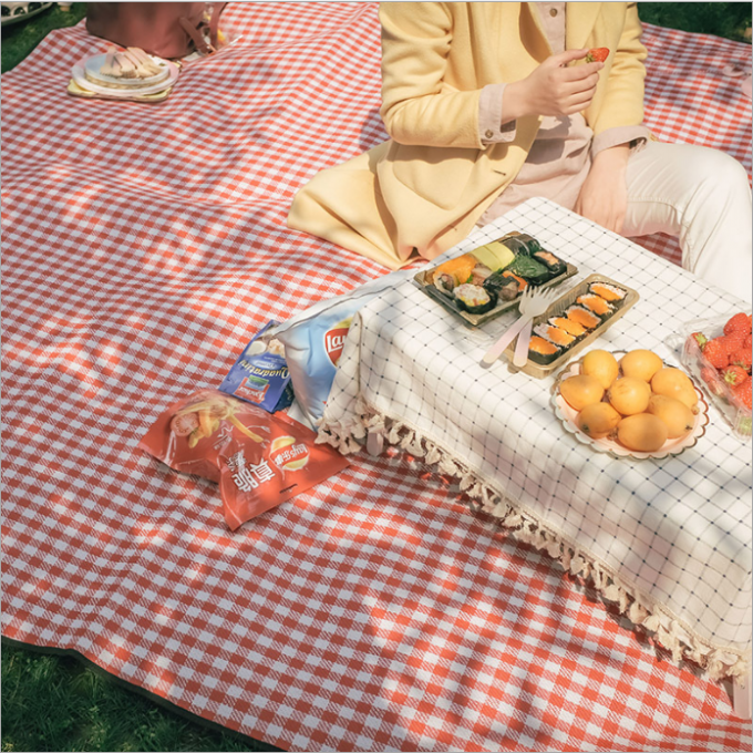 Outdoor Picnic Floor Mat Red And White Plaid Fleece Material Made