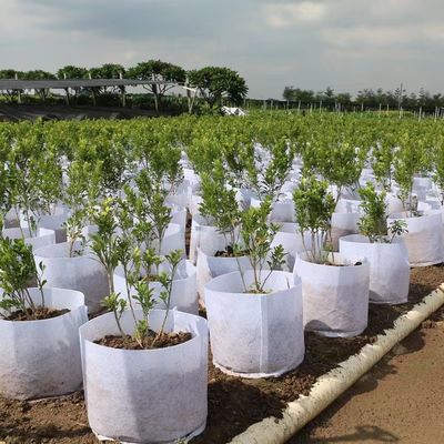 Manufacturers across the border wholesale planting and cultivating bag environmental protection felt cultivation and maintenance