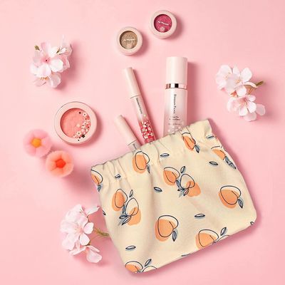 Durable Waterproof  4 PCS Mini Cosmetic Bag for Women, Waterproof Mini Travel Bag, Mini Bag for Purse Lipstick Organizer